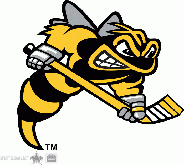 Sarnia Sting 1999-pres secondary logo iron on transfers for clothing